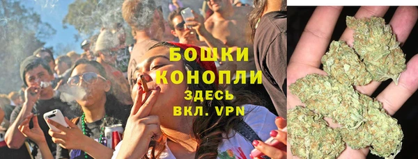 ECSTASY Богородск